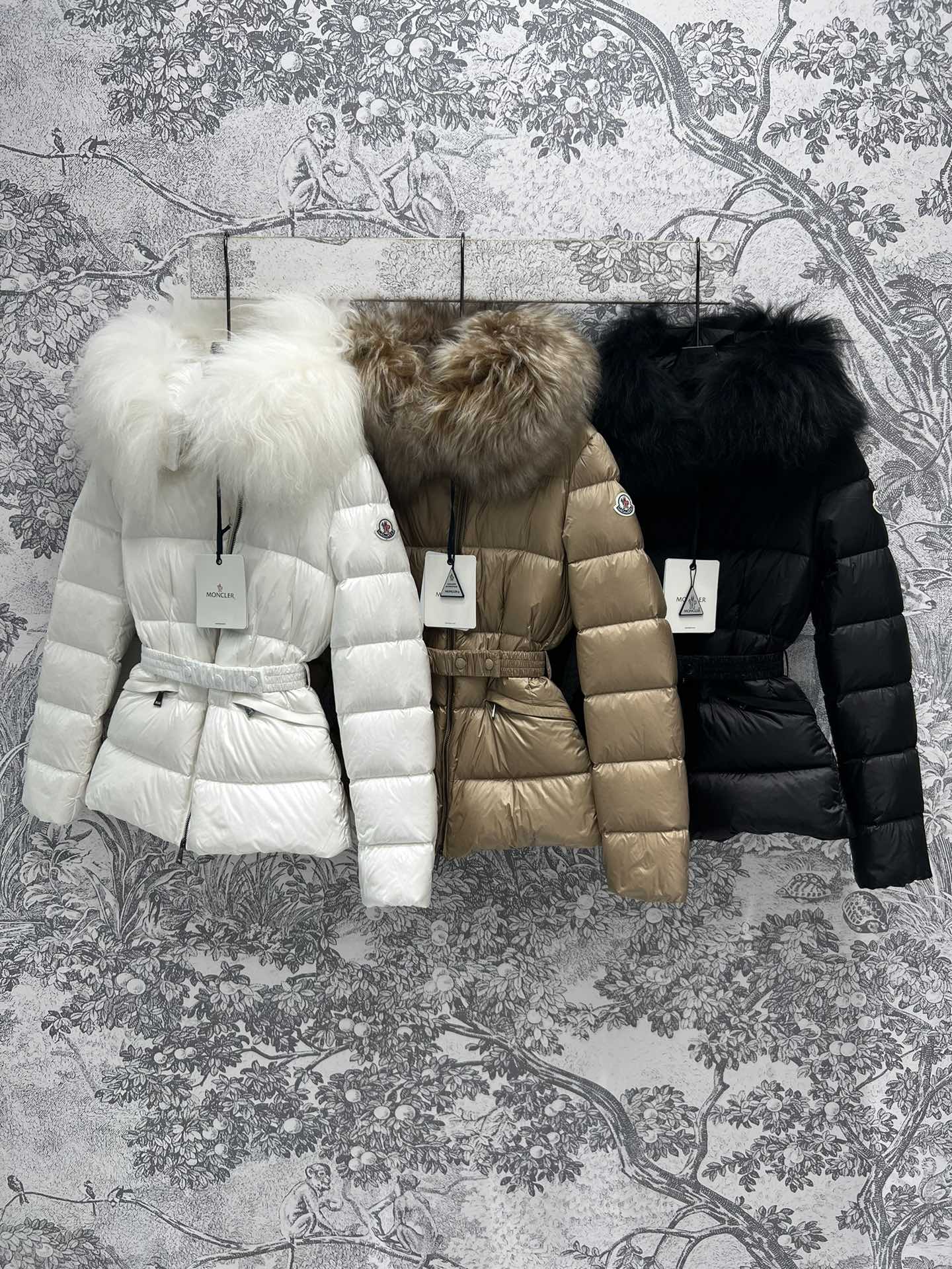 Moncler Down Jackets